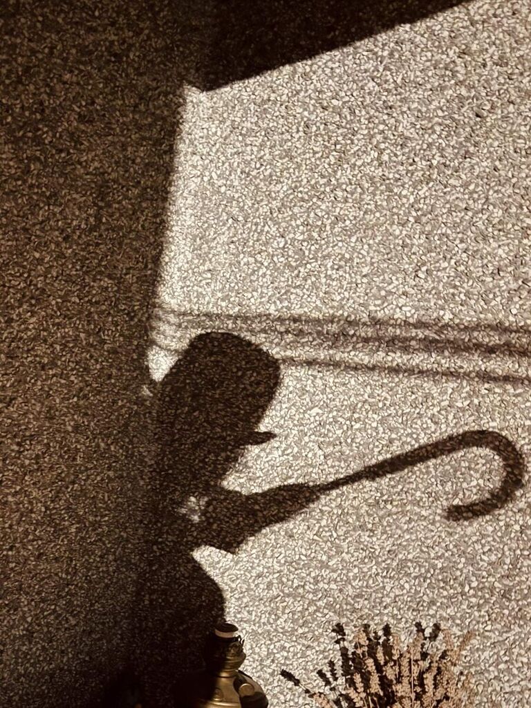 Shadow of a person wearing a hat and cane.