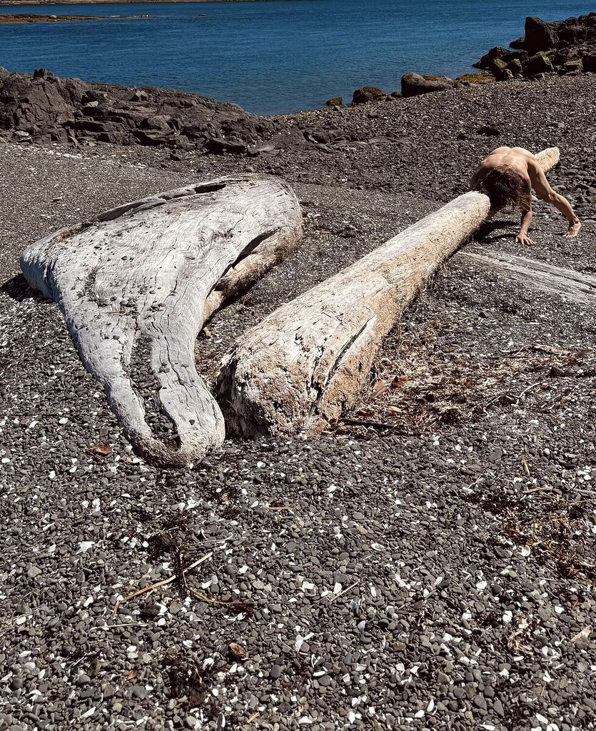 Art piece of naked person laying on top of large logs.
